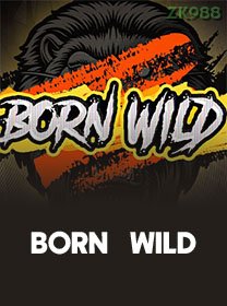Born Wild icon